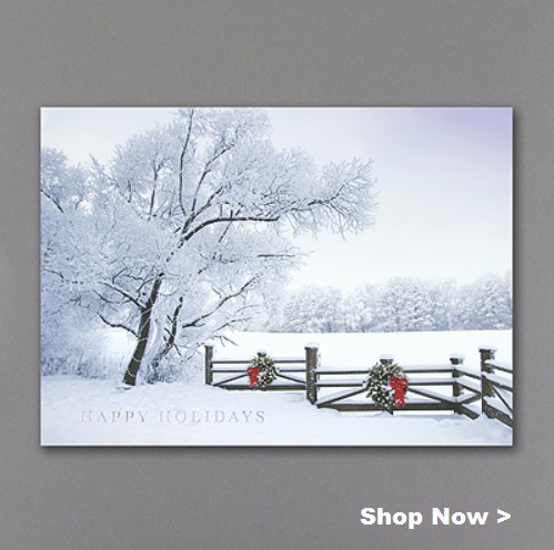 Nature Christmais Cards
